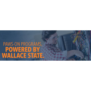 Wallace_2024_Email-Header_applied-technology